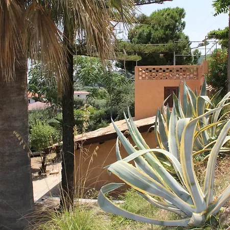Tenuta Conte Ruggero Aparthotel Santa Domenica  Exterior photo
