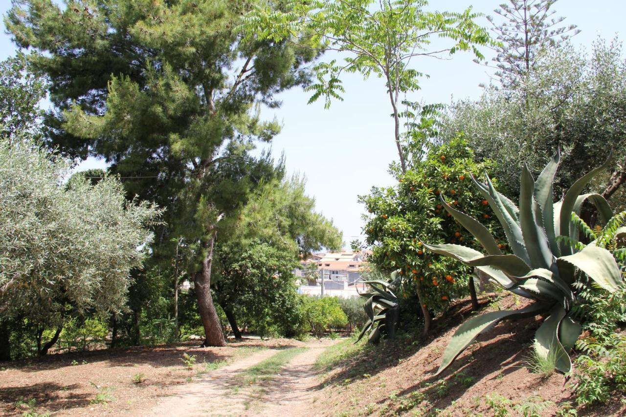 Tenuta Conte Ruggero Aparthotel Santa Domenica (Vibo Valentia)