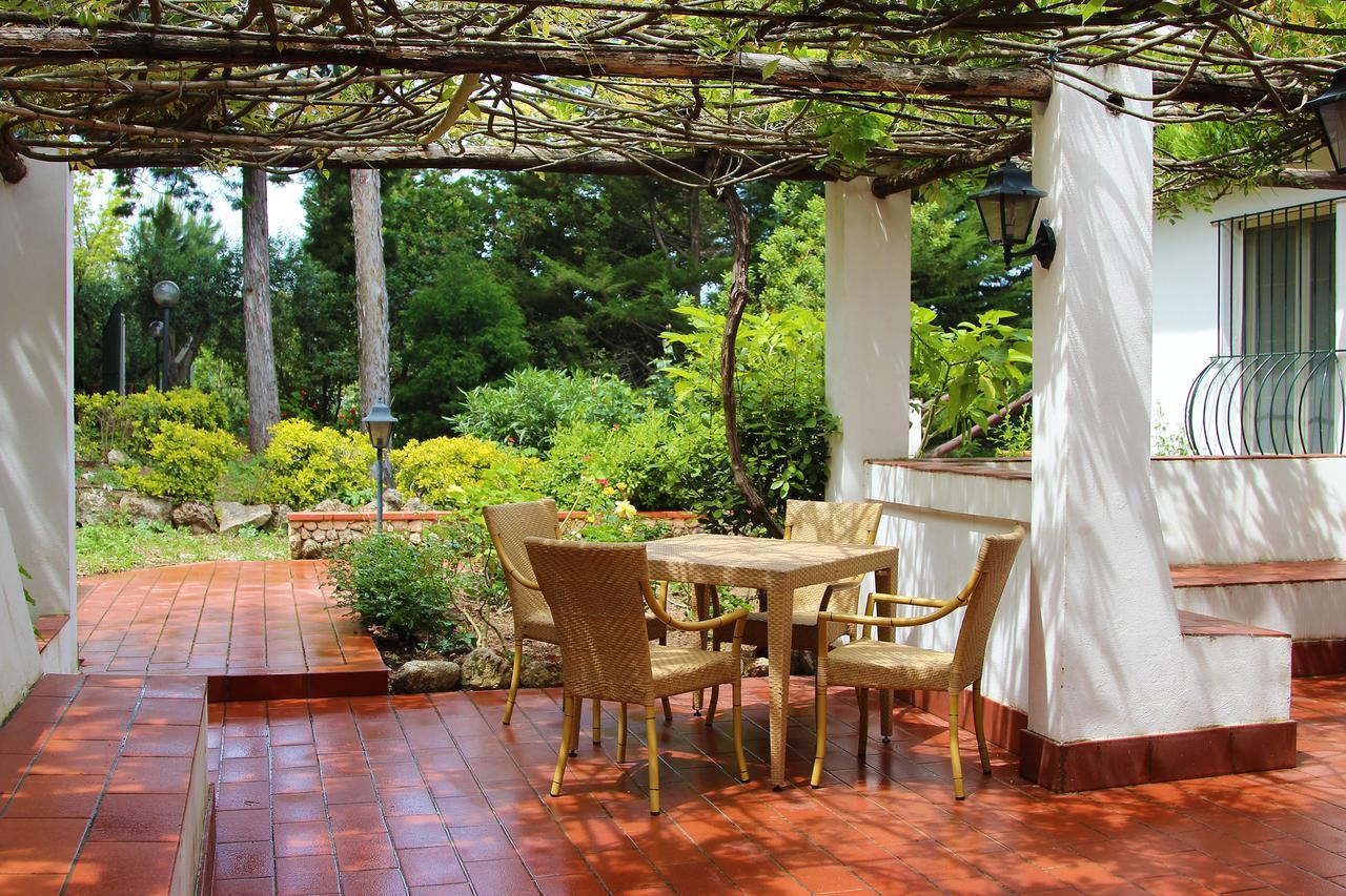 Tenuta Conte Ruggero Aparthotel Santa Domenica (Vibo Valentia)